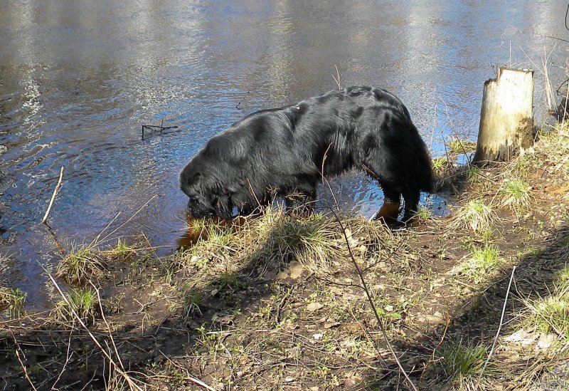 Фотография № 123880