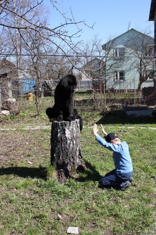 Фотография № 123883