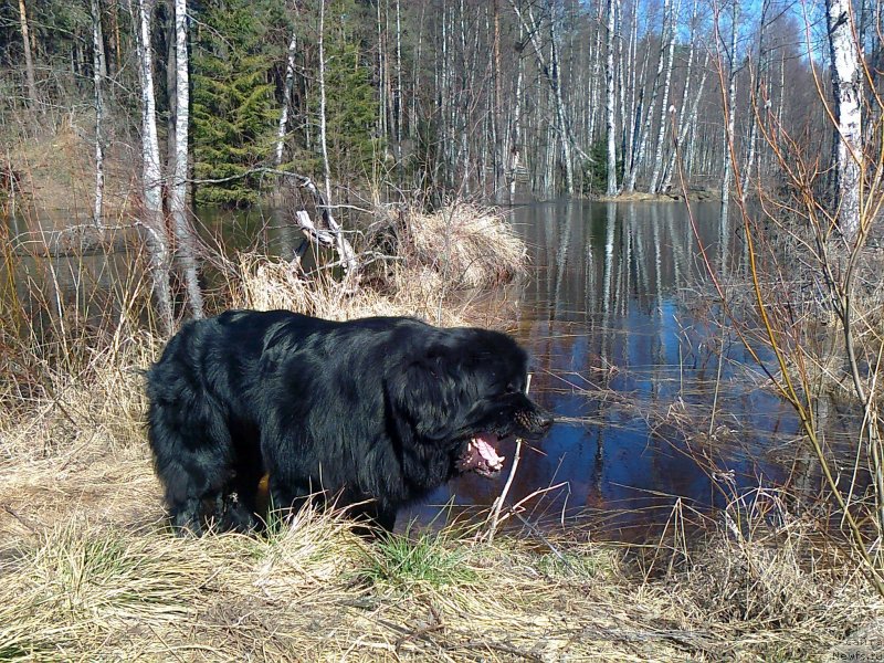 Фотография № 123888