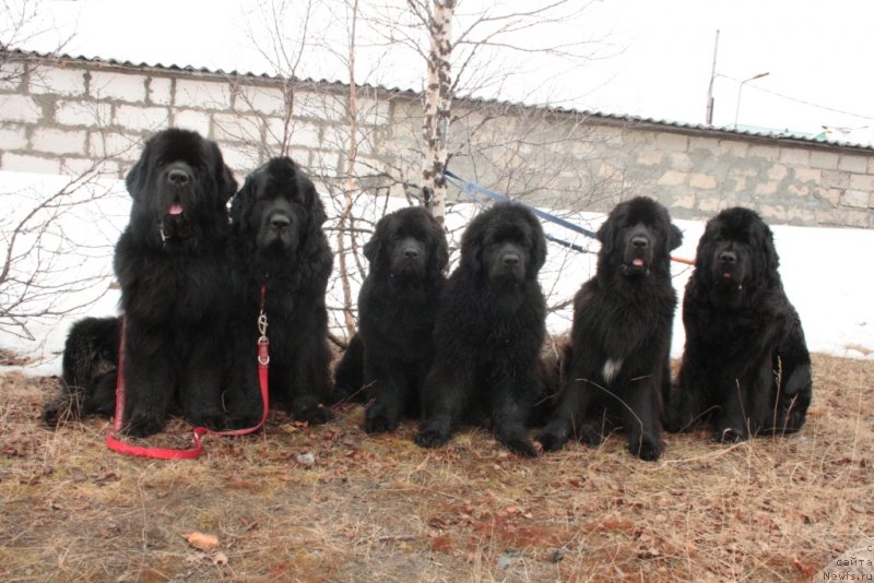 Фотография № 123917