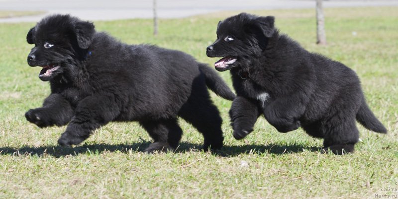 Фотография № 123986