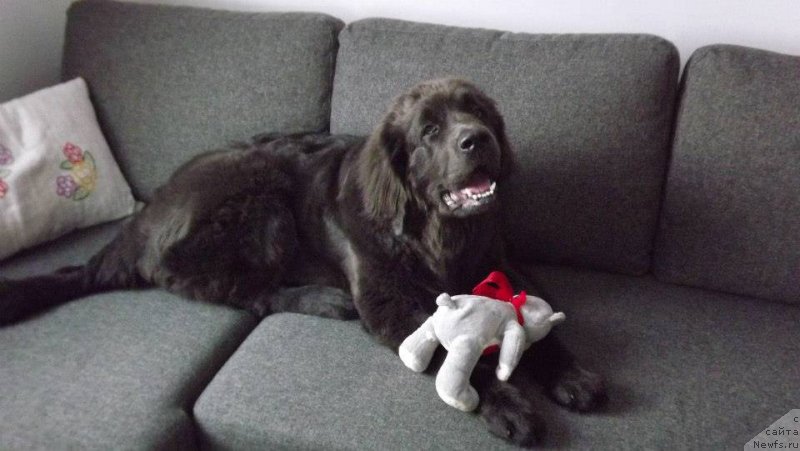 Фотография № 124027