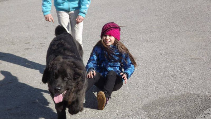 Фотография № 124029