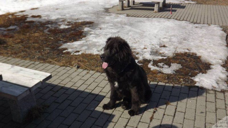 Фотография № 124031