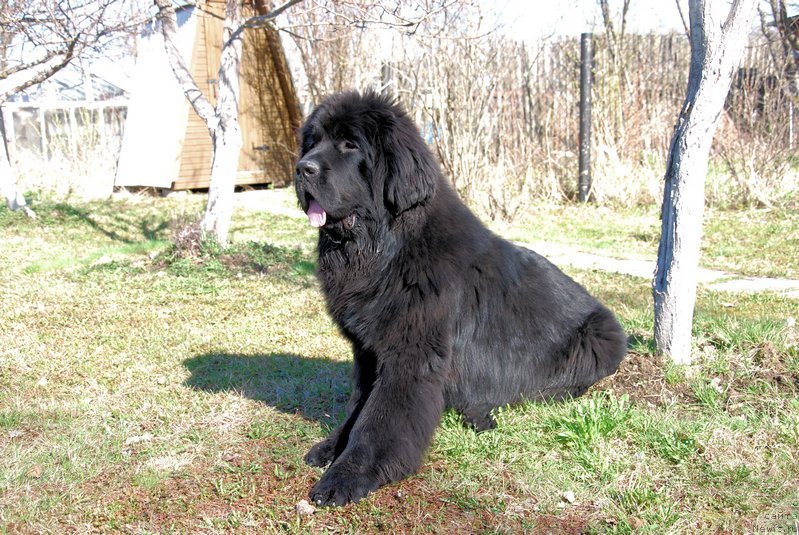 Фотография № 124050