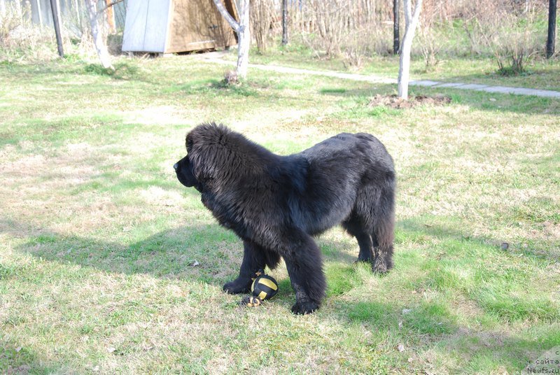 Фотография № 124052