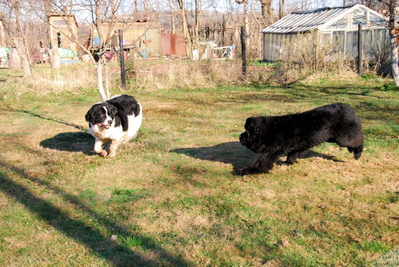 Фотография № 124055