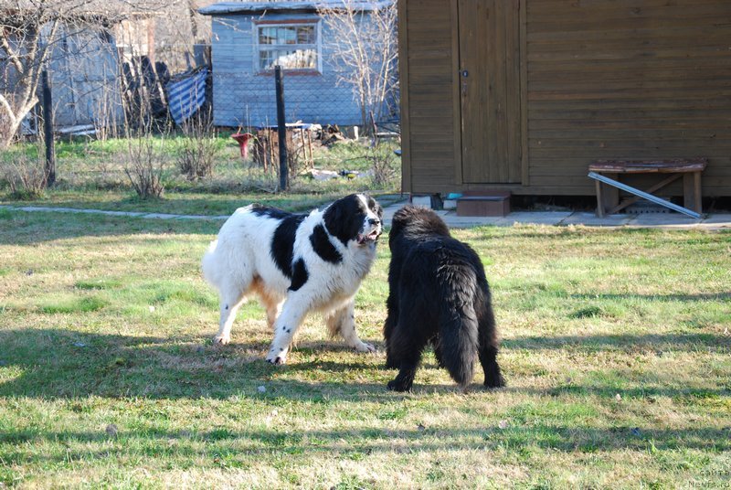 Фотография № 124057