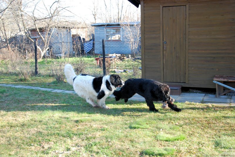 Фотография № 124058