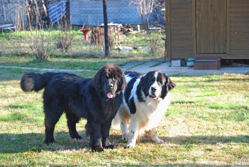 Фотография № 124059