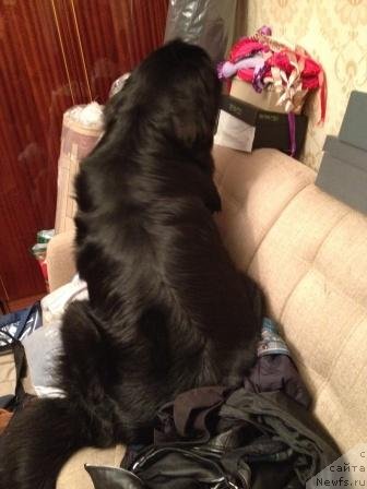 Фотография № 124098