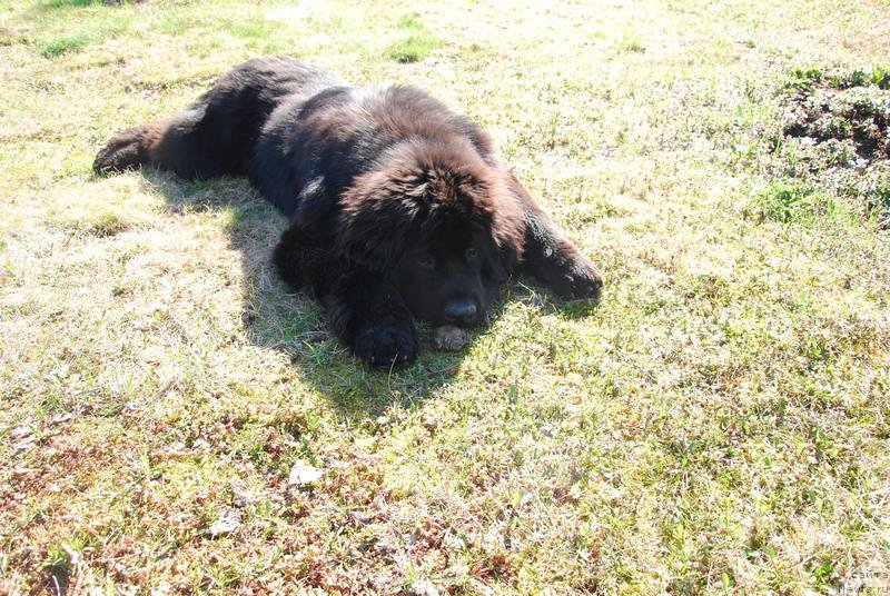 Фотография № 124101