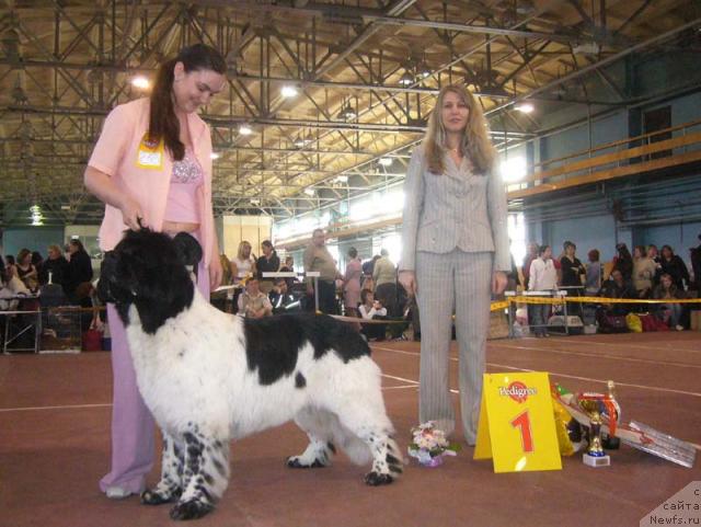 Фотография № 12421