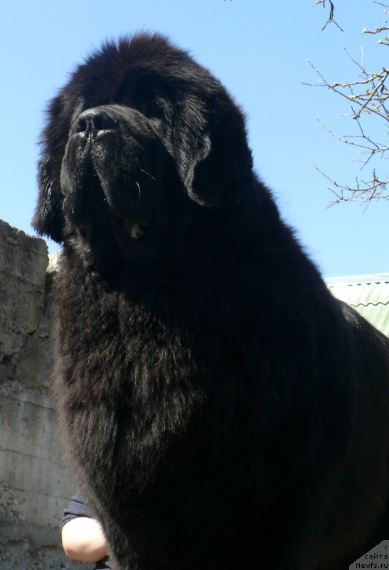 Фотография № 124215