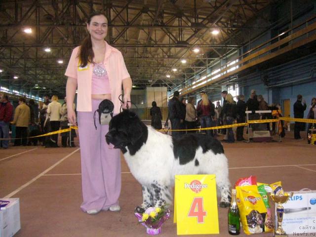 Фотография № 12422