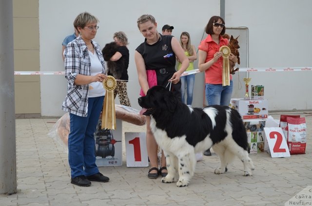 Фотография № 124222