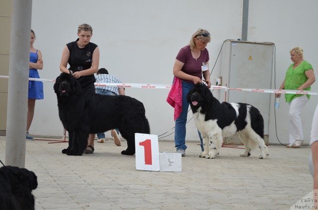 Фотография № 124225