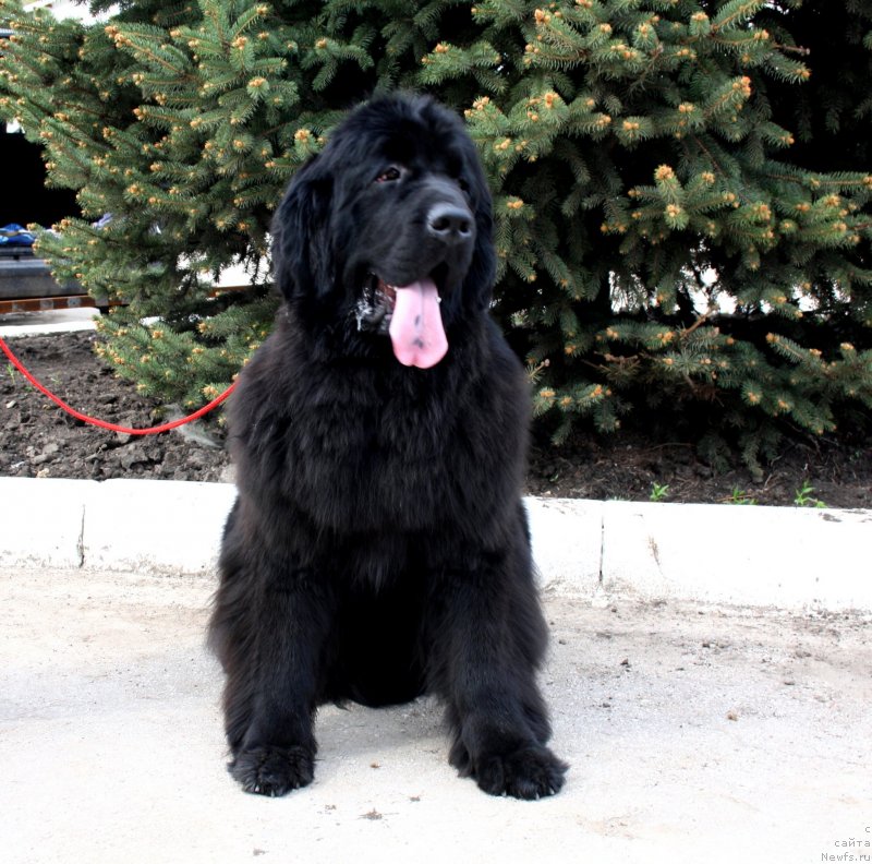 Фотография № 124243