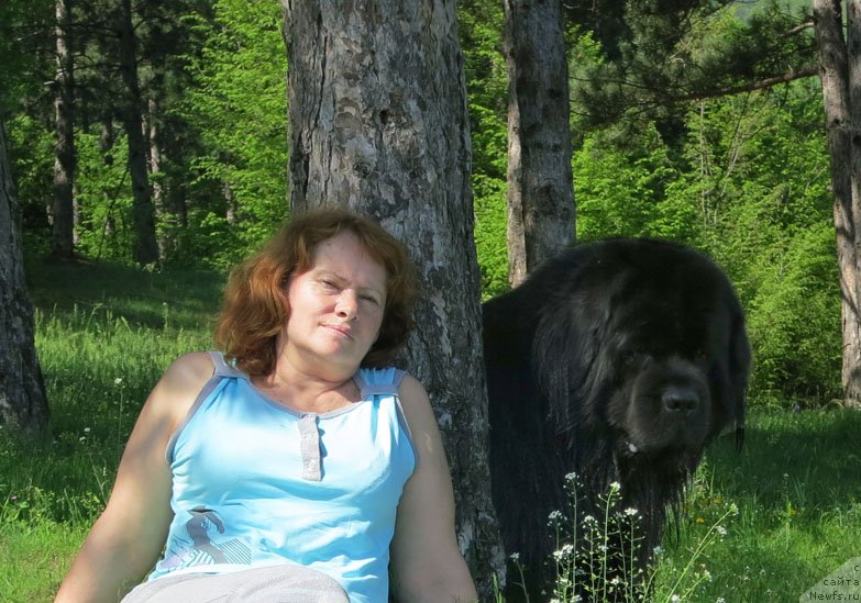 Фото: ньюфаундленд Потап Фидель