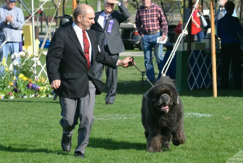 Фотография № 124260