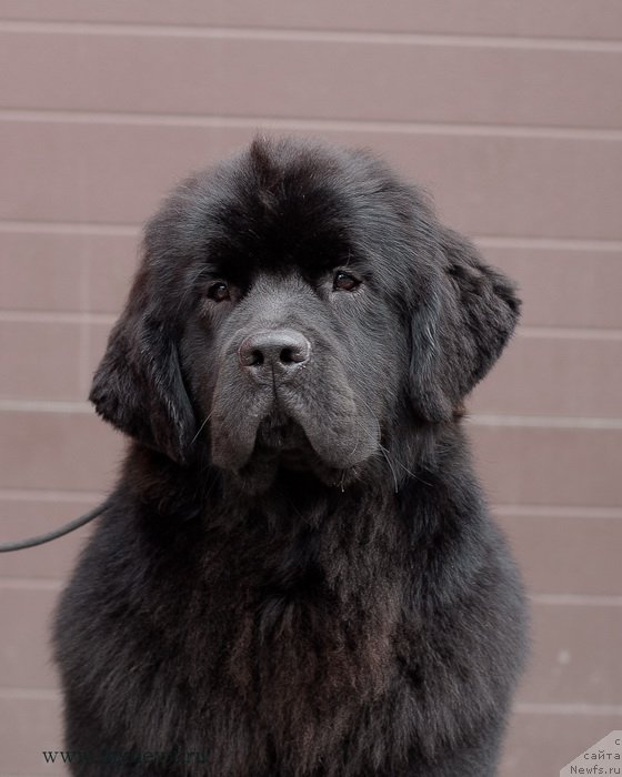 Фотография № 124266