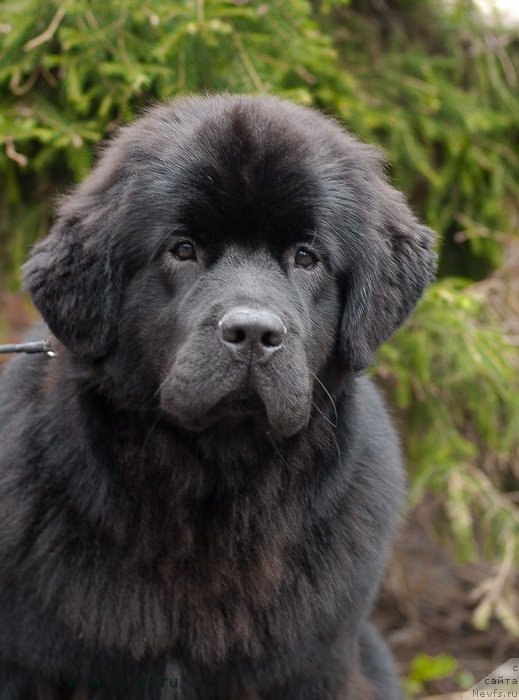 Фотография № 124267