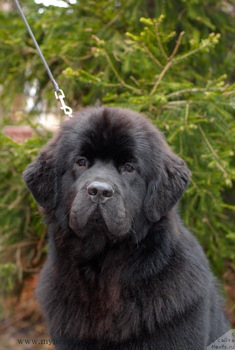 Фотография № 124268