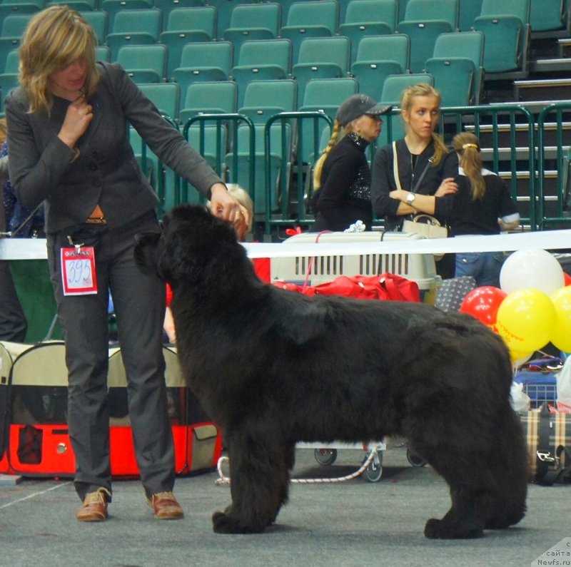 Фотография № 124273