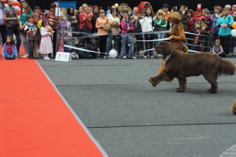 Фотография № 124277