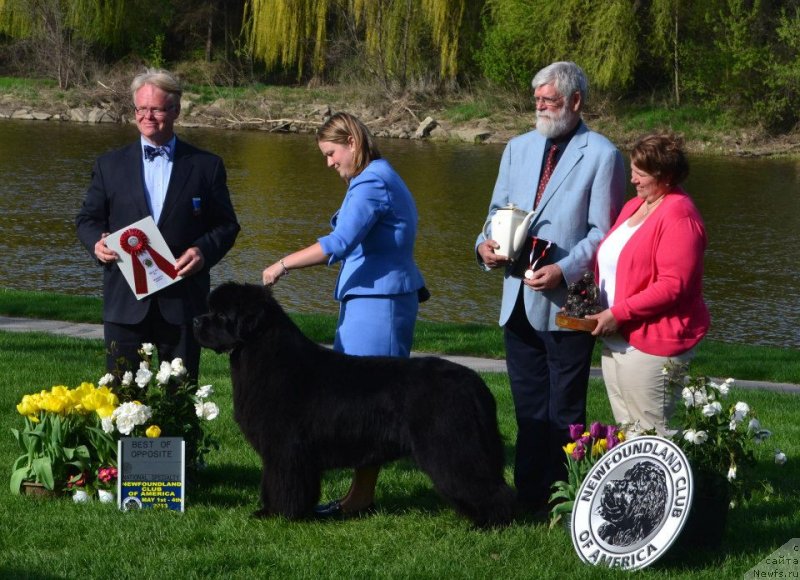 Фотография № 124283