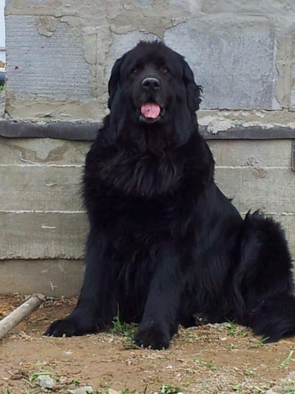 Фотография № 124290