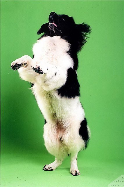 Фотография № 124297