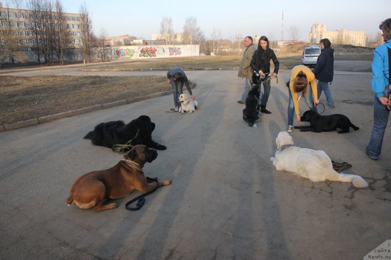 Фотография № 124349