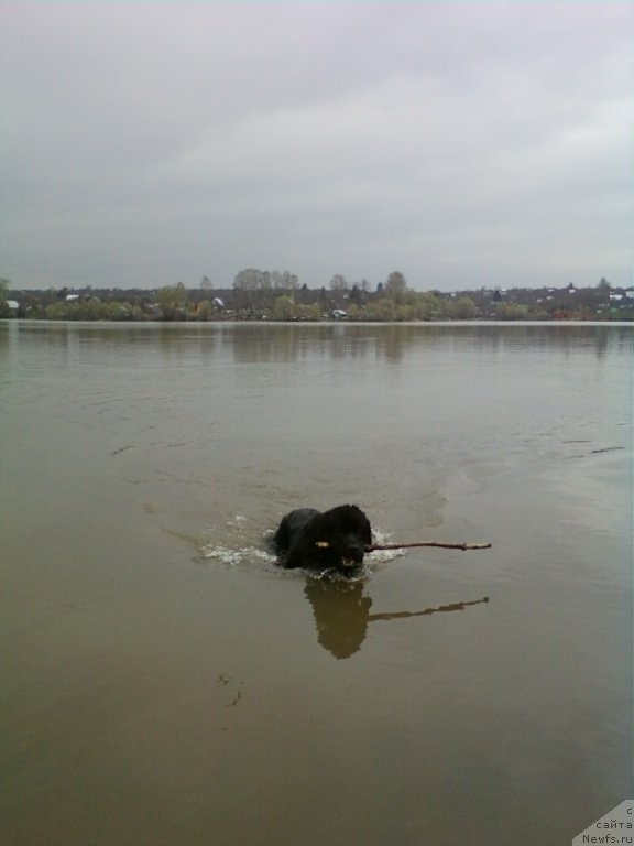 Фотография № 124350