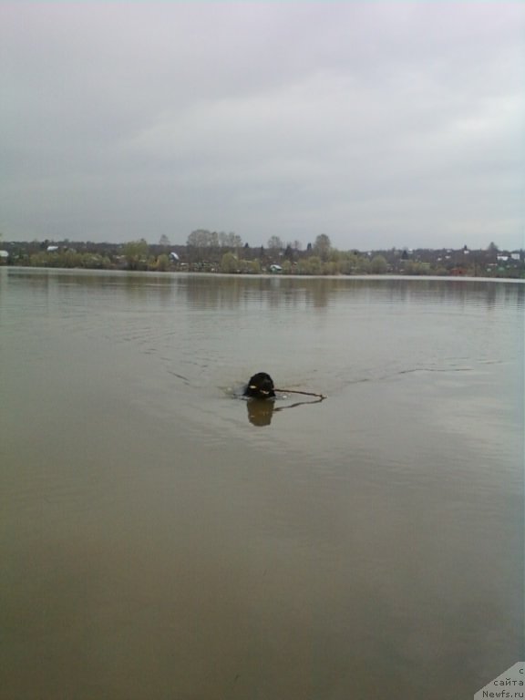 Фотография № 124351