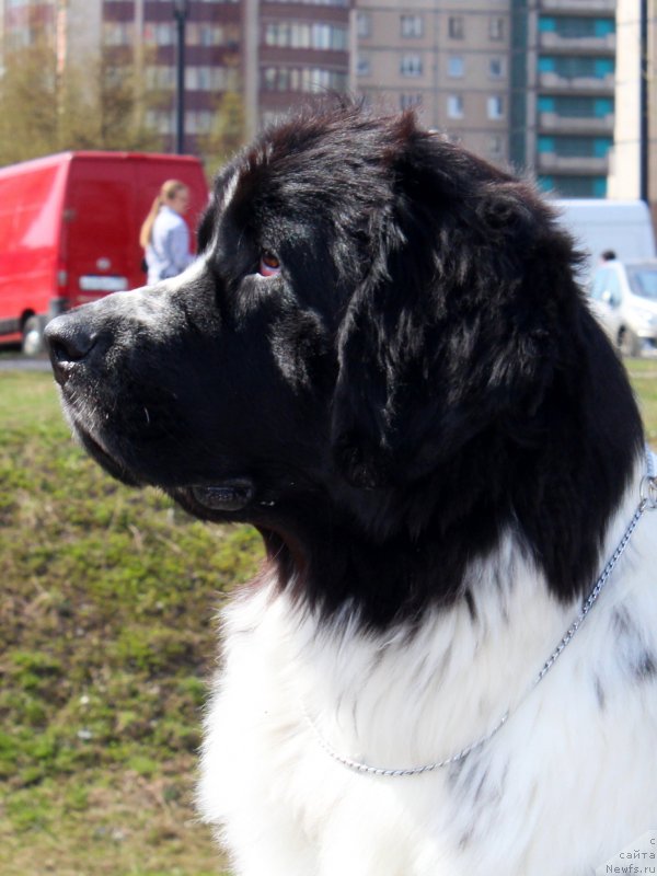 Фотография № 124375