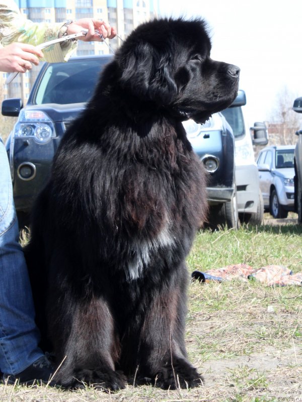 Фотография № 124377