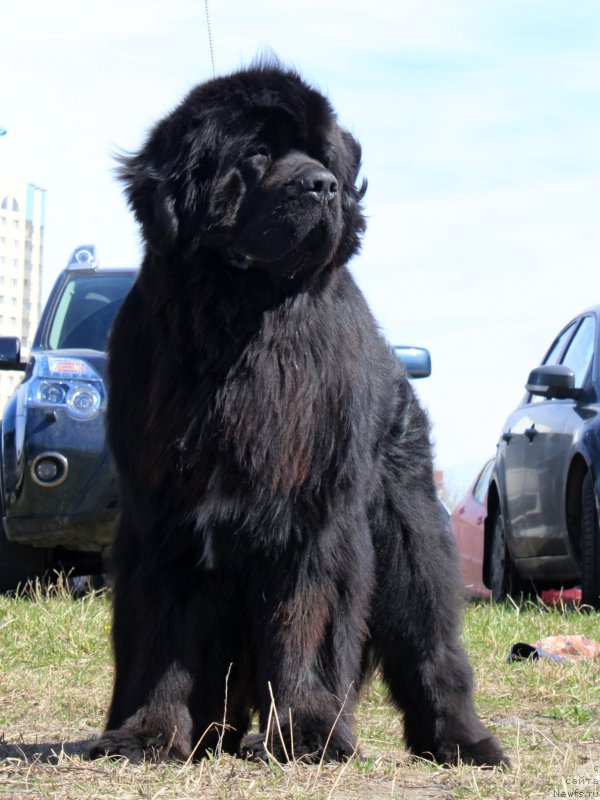 Фотография № 124381