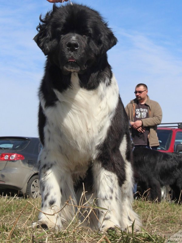 Фотография № 124383