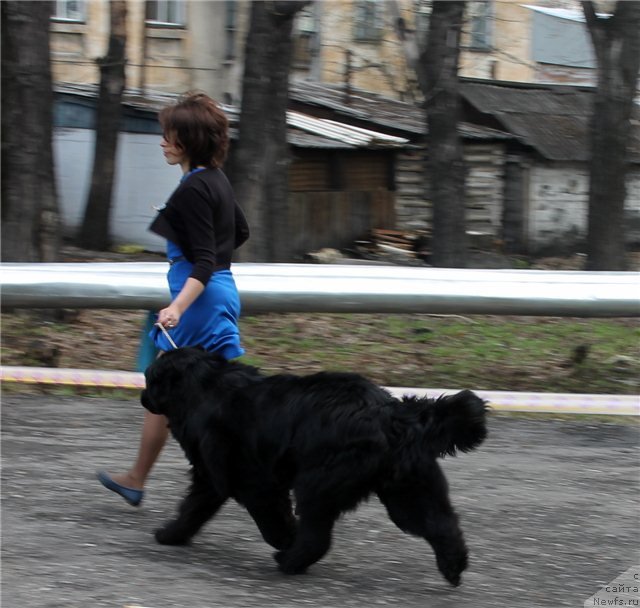 Фотография № 124390