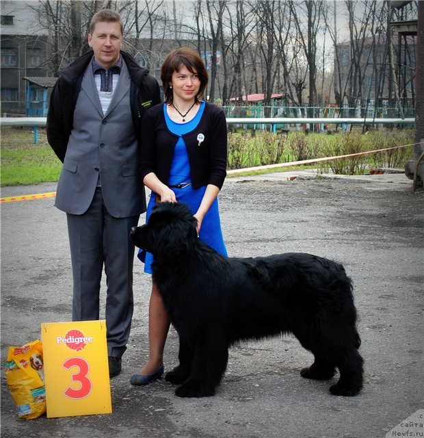 Фотография № 124391