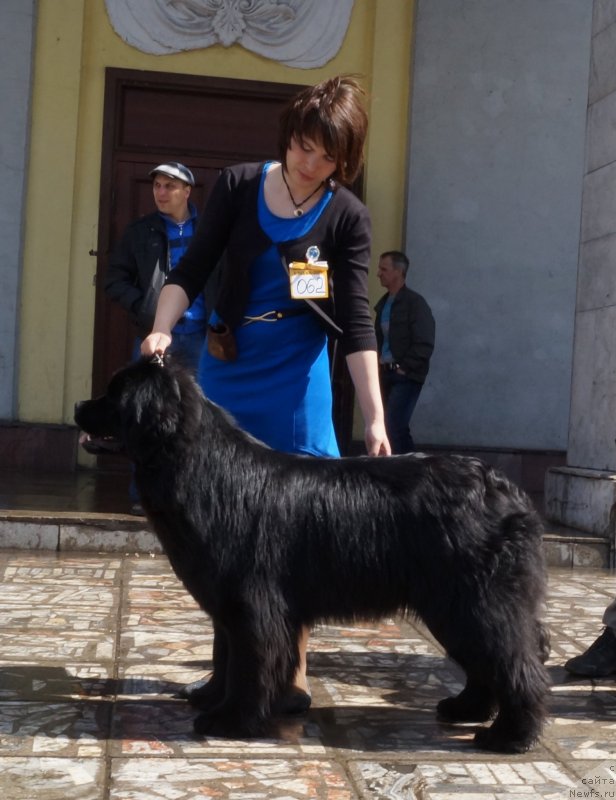 Фотография № 124392