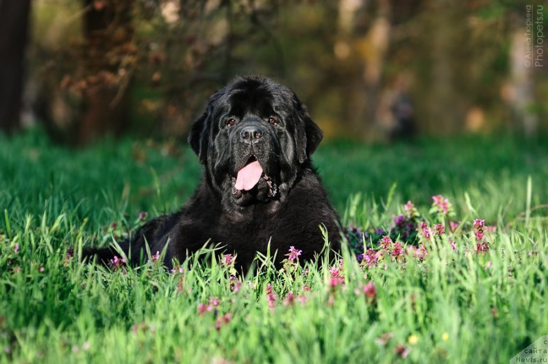 Фотография № 124418