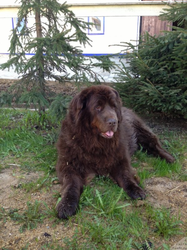 Фотография № 124442