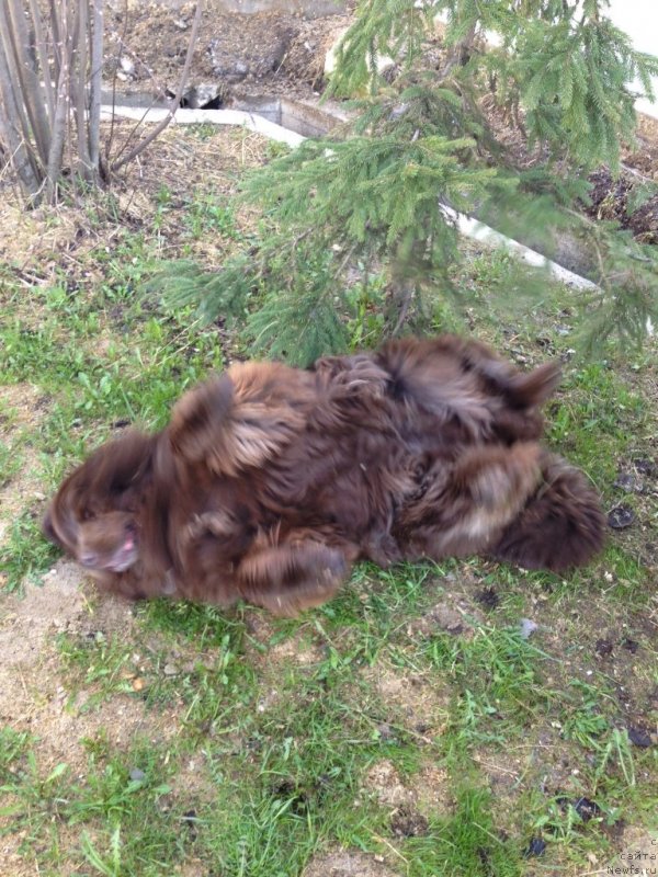 Фотография № 124443