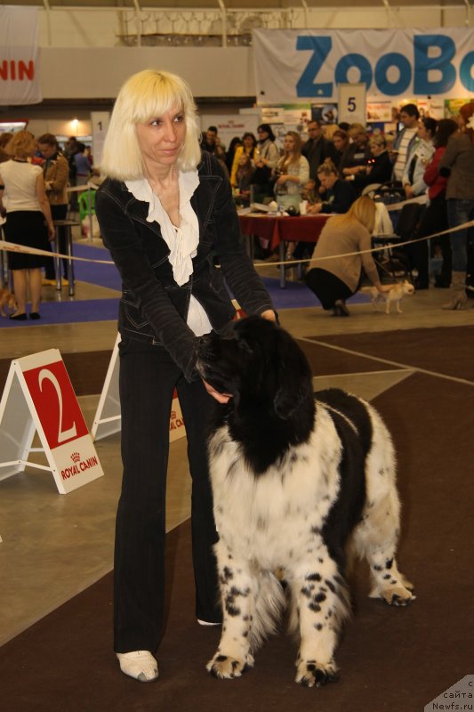 Фотография № 124493