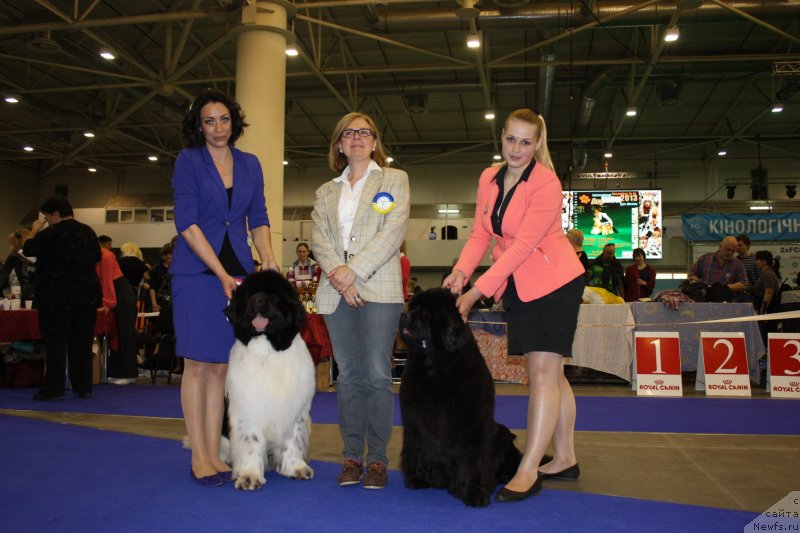 Фотография № 124538