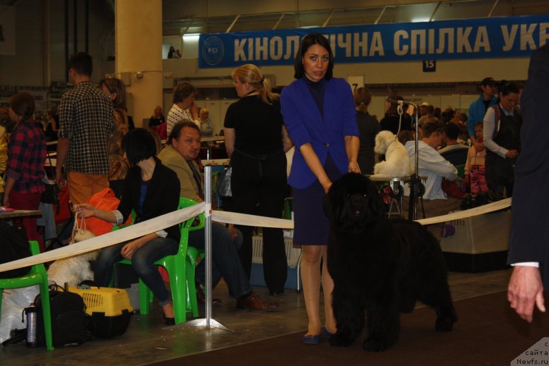 Фотография № 124539