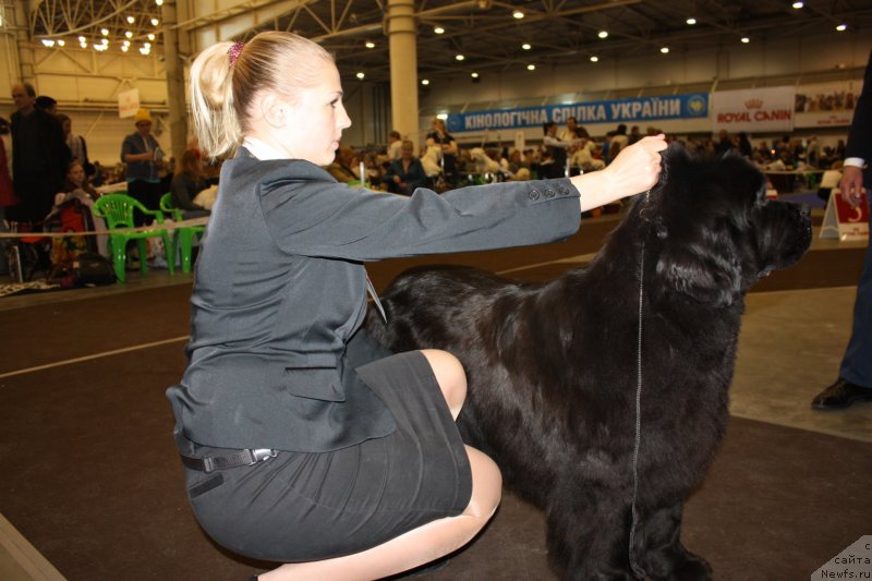 Фотография № 124540