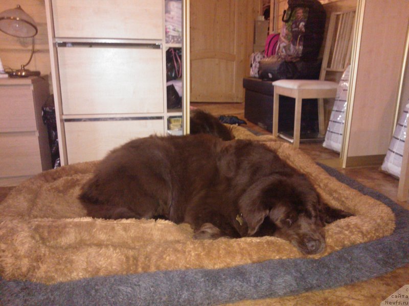 Фотография № 124541